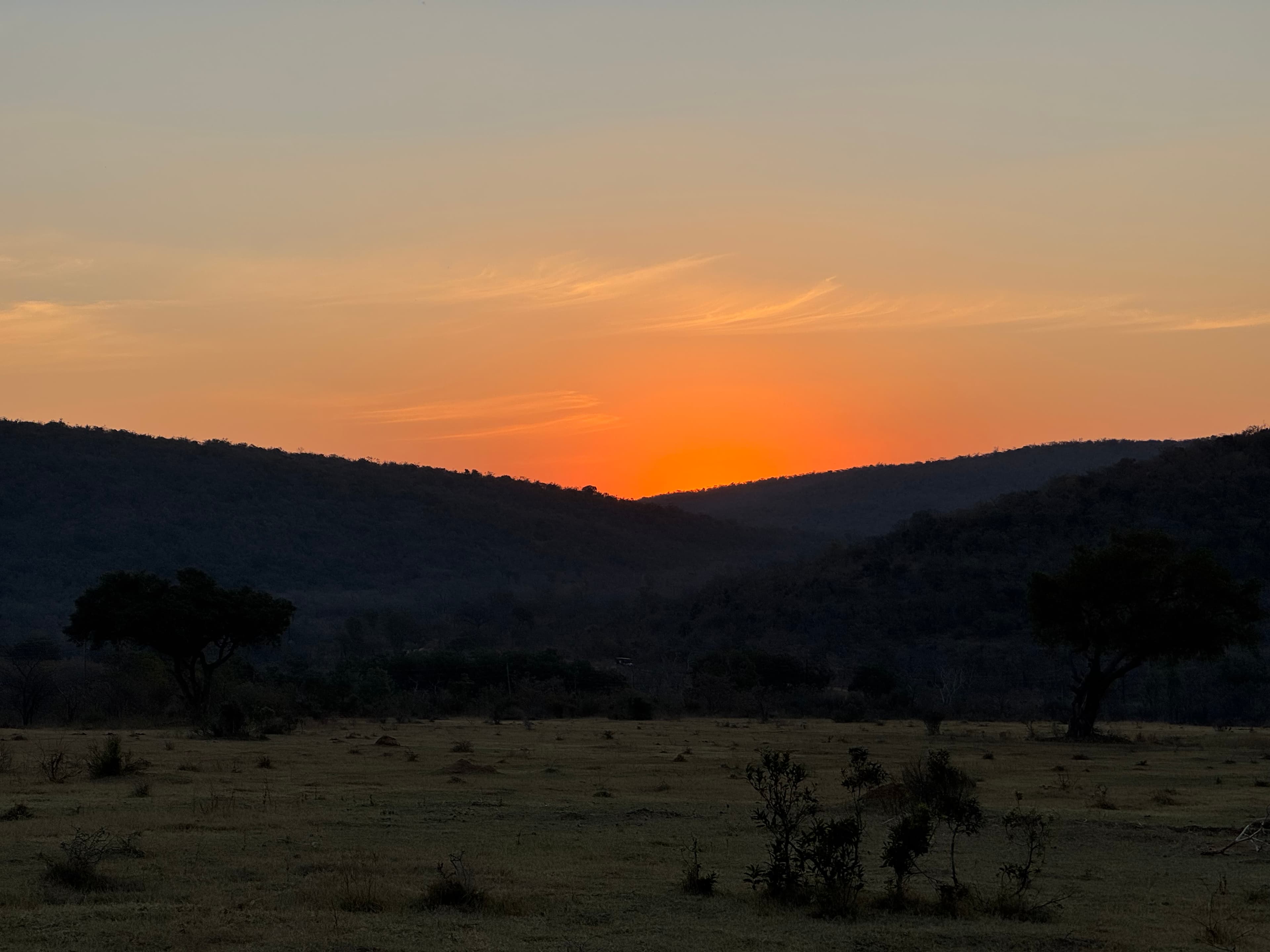 Scenes from Welgevonden Game Reserve